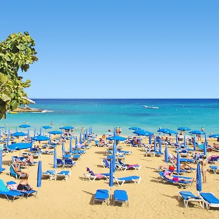 Napa Blu *
